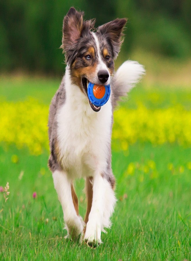 Nerf Dog 4in TPR EXO Squeak Ball - Blue/Orange, Large Breeds - Image 4